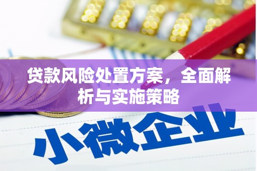 娄星贷款风险处置方案，全面解析与实施策略