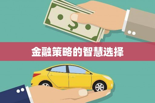 修文金融策略的智慧选择
