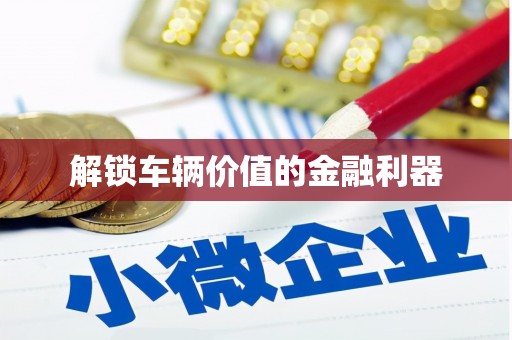 湖内解锁车辆价值的金融利器