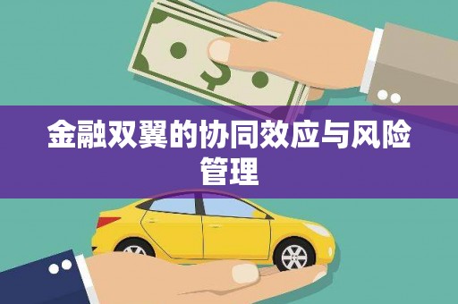 陆丰金融双翼的协同效应与风险管理