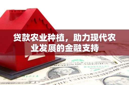 兰考贷款农业种植，助力现代农业发展的金融支持